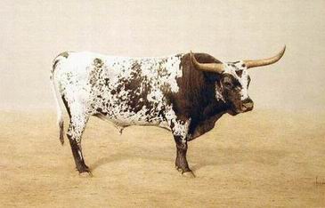 Classic oil painting