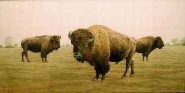 Classic oil painting