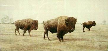 Classic oil painting