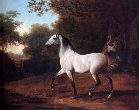 Horse oil painting