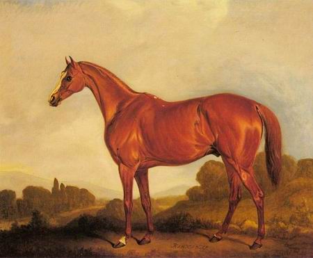 Horse oil painting