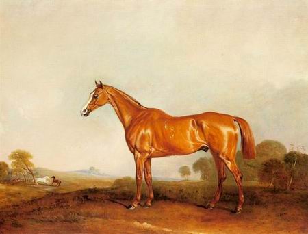 Horse oil painting