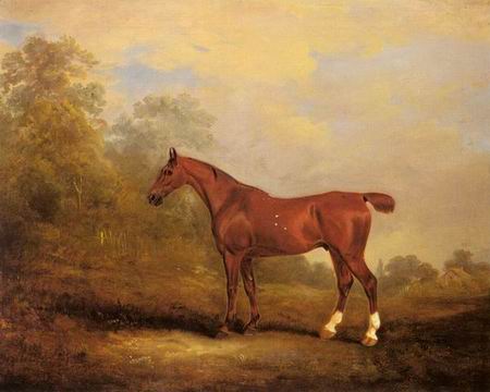 Horse oil painting