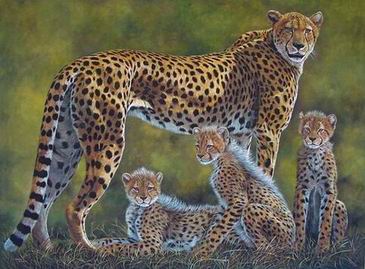 Leopard oil painting