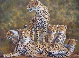 Leopard oil painting