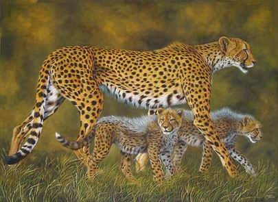 Leopard oil painting