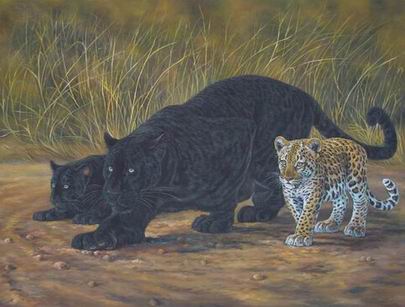 Leopard oil painting