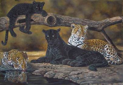 Leopard oil painting