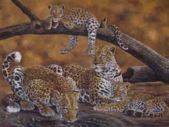 Leopard oil painting