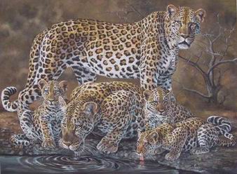 Leopard oil painting