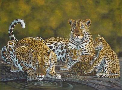 Leopard oil painting