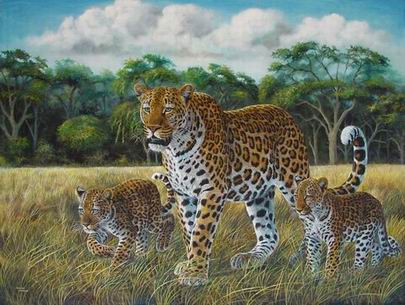 Leopard oil painting