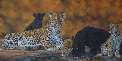 Leopard oil painting