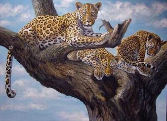 Leopard oil painting