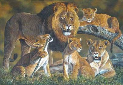 Lion oil painting