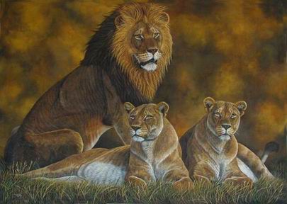 Lion oil painting