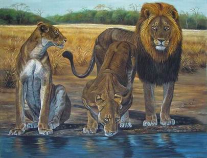 Lion oil painting