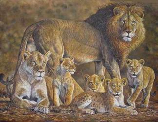 Lion oil painting