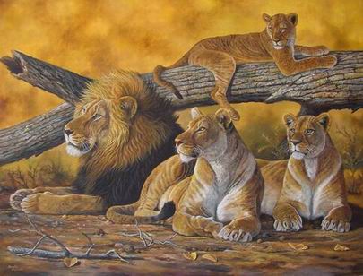 Lion oil painting