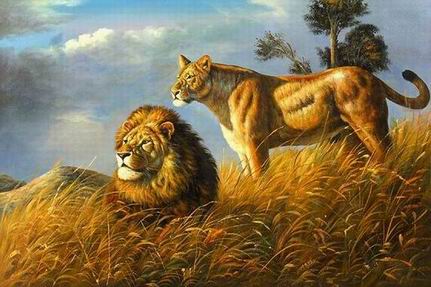 Lion oil painting