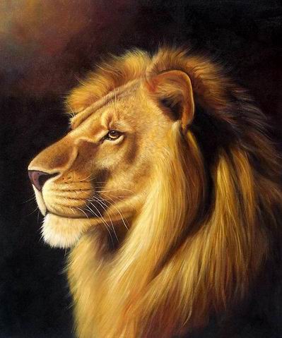 Lion oil painting