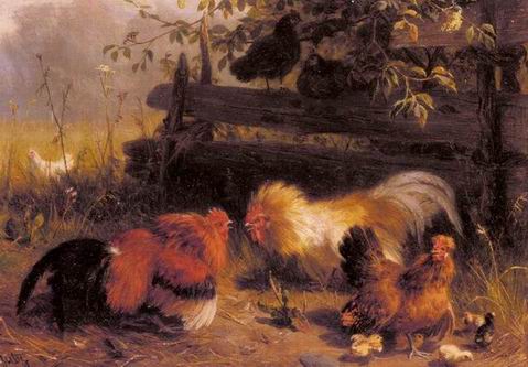 Poultry oil painting