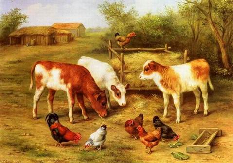 Poultry oil painting
