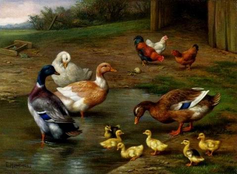 Poultry oil painting