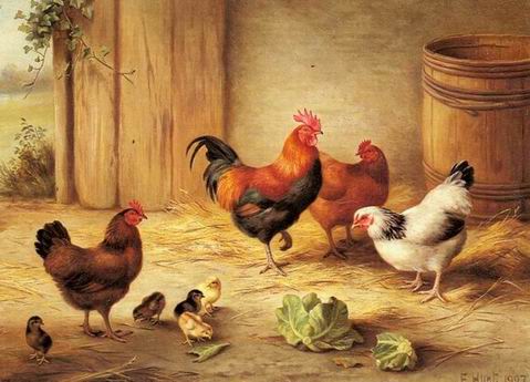 Poultry oil painting
