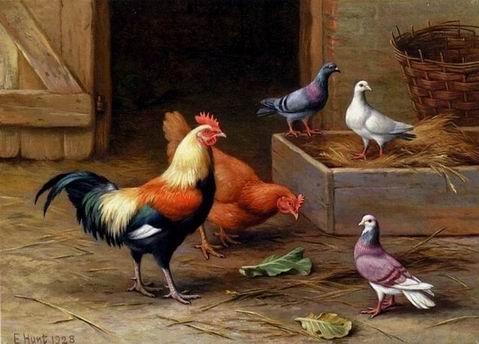 Poultry oil painting