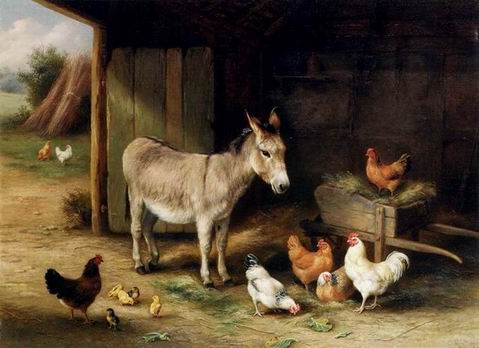Poultry oil painting