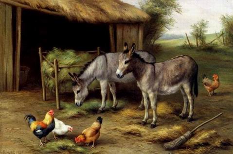 Poultry oil painting
