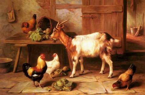 Poultry oil painting