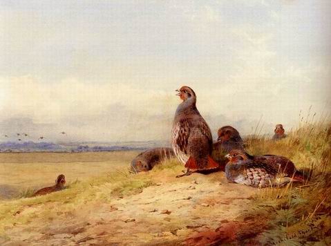 Poultry oil painting