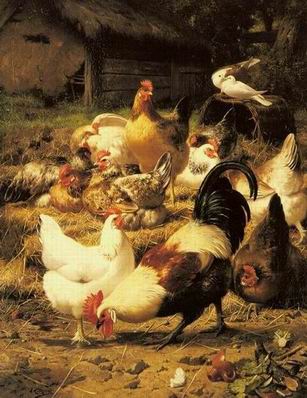 Poultry oil painting