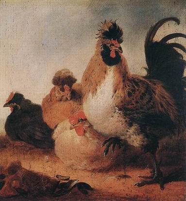 Poultry oil painting