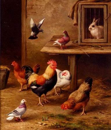Poultry oil painting