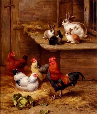 Poultry oil painting