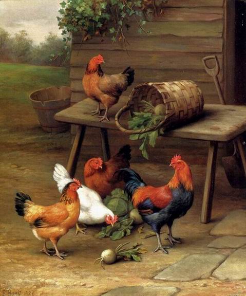 Poultry oil painting