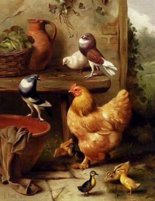 Poultry oil painting