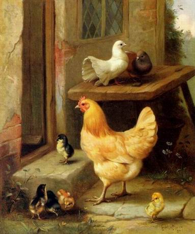 Poultry oil painting