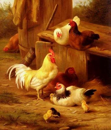 Poultry oil painting