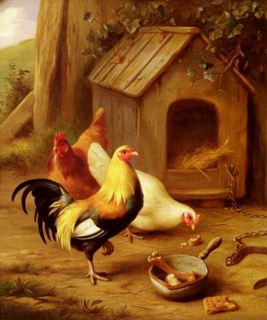 Poultry oil painting