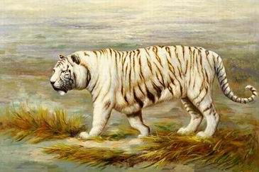Tiger oil painting