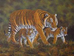 Tiger oil painting