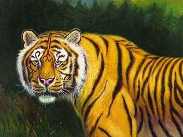 Tiger oil painting