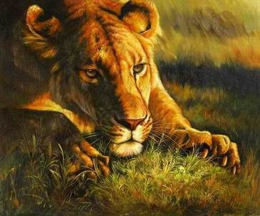 Tiger oil painting