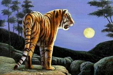 Tiger oil painting
