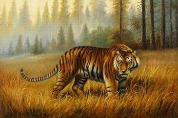 Tiger oil painting
