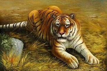 Tiger oil painting